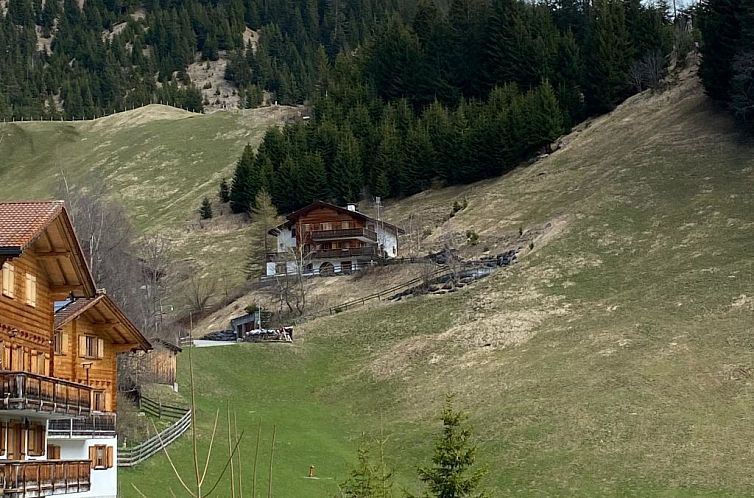 Appartement Appartement/Fewo, Dusche und Badewanne, 8-Bettwo