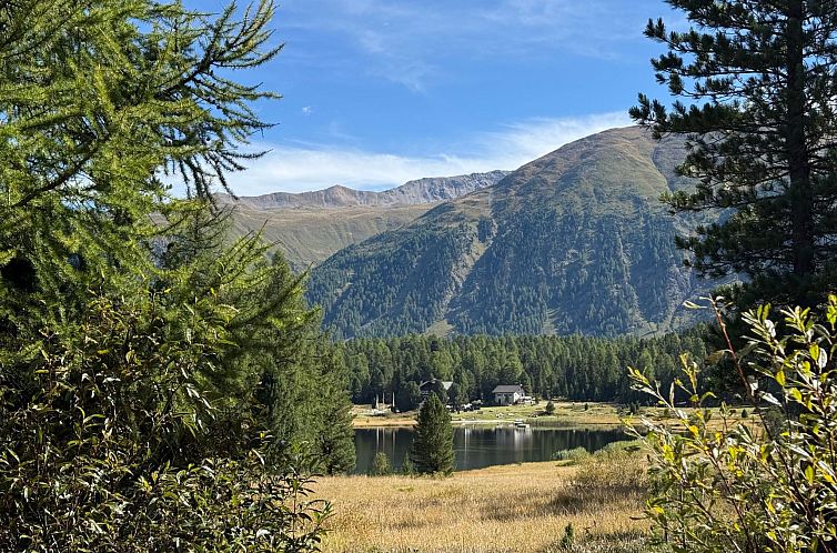 Appartement Chesa Darlux