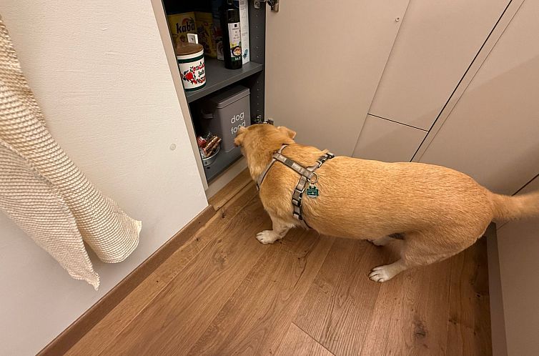 Appartement Chesa Müsella