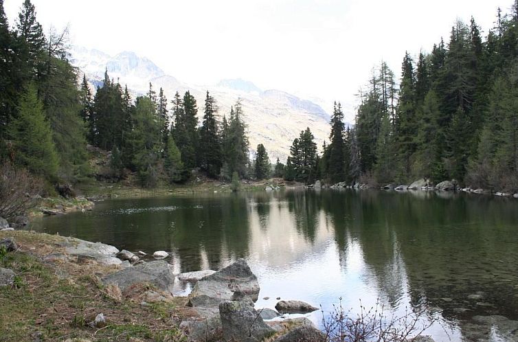 Appartement Chesa Arettas