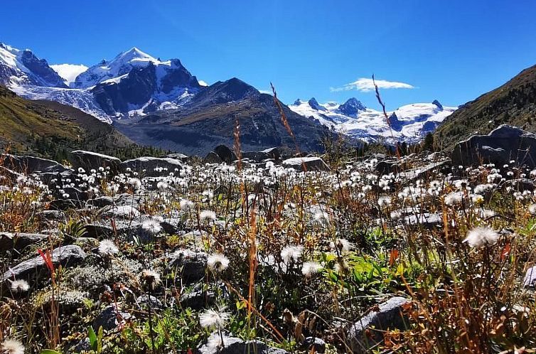 Appartement Via charels sur 8