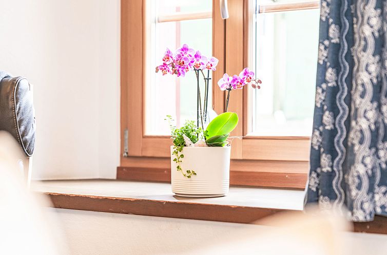 Appartement Chesa Michel Roseg