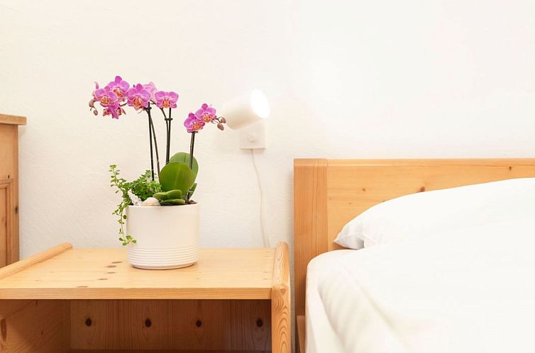 Appartement Chesa Michel Grisch