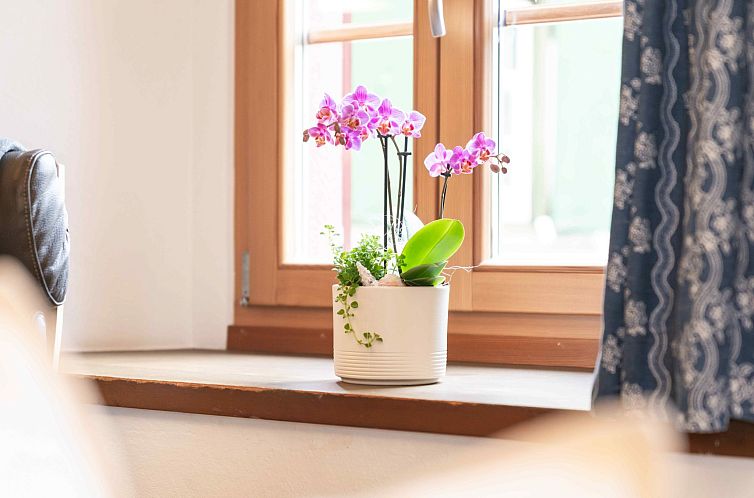 Appartement Chesa Michel Bernina