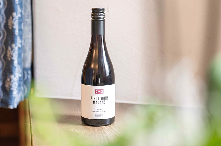 Appartement Morteratsch