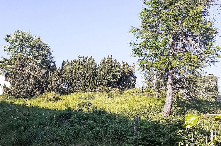 Appartement Soldanella 5