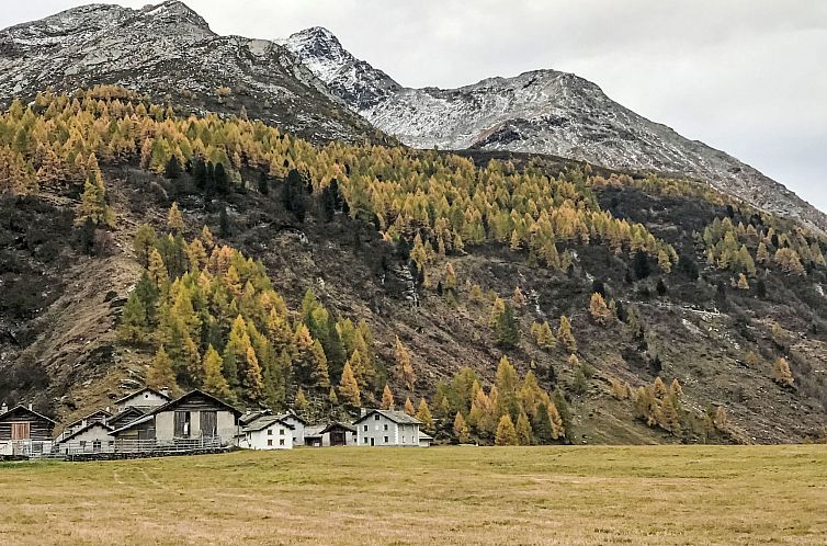 Appartement Chesa Blaunca Maloja