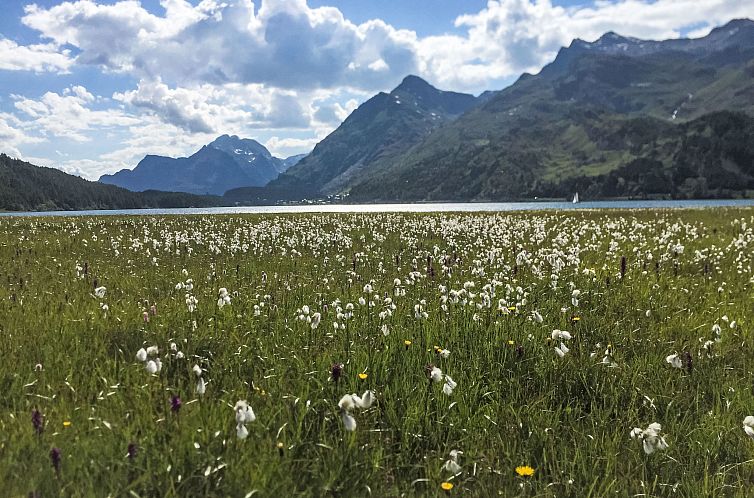 Vakantiehuis Chesa Cavril