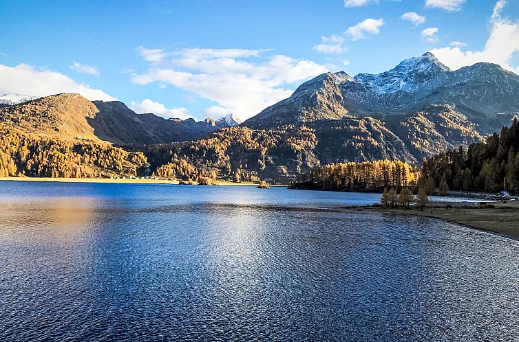 Appartement Pra d'Sura 233