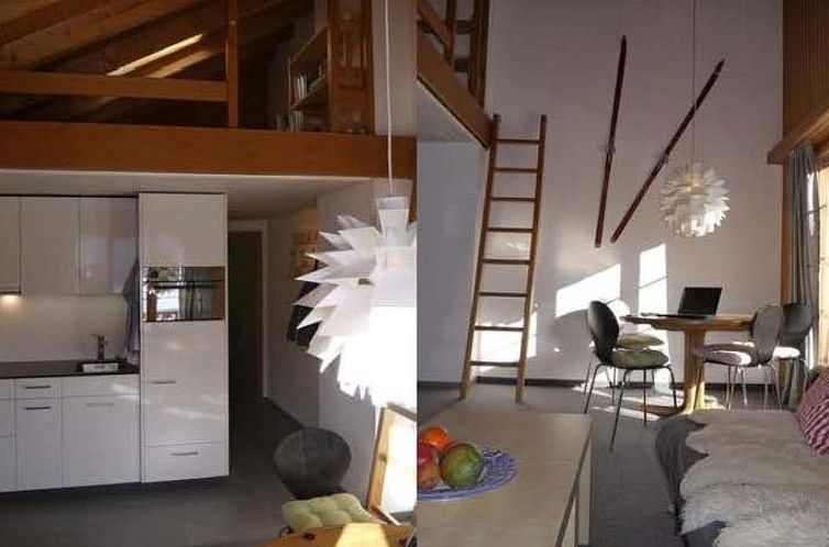 Appartement Signina Brun, Lumbrein, (Lumbrein), 48007B