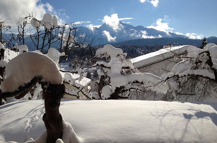 Appartement casa cotschna