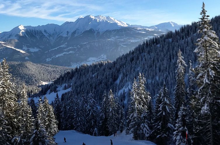 Appartement MyGrischa