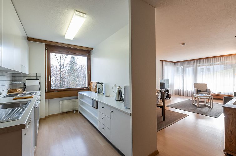 Appartement Boutique Ferienapartment Flims - brandneu