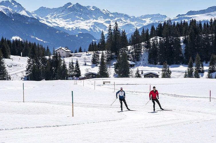 Appartement Quadra / Masé-Goldberg, (Flims Dorf), 1030