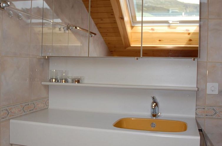 Appartement Ferienwohnung Chasa Quadra