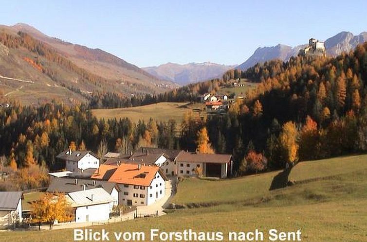Appartement Forsthaus Falkenstein, (Tarasp).