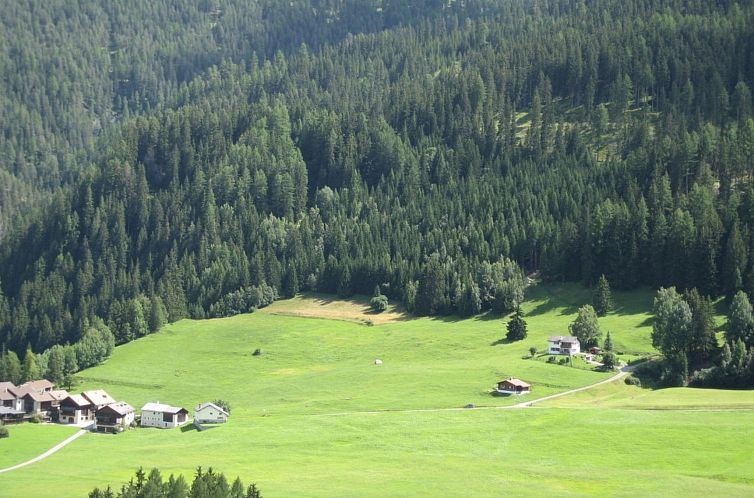 Appartement Forsthaus Falkenstein, (Tarasp).