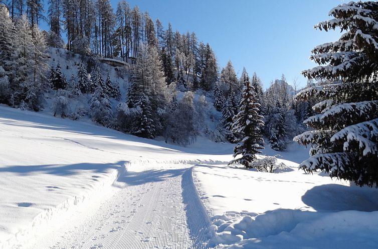 Appartement Chasa Quadra, (Tarasp).