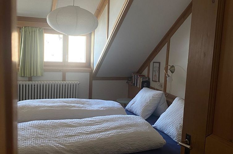 Appartement Chasa Soldanella, (Tarasp)