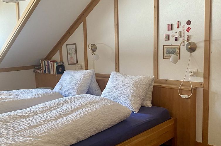 Appartement Chasa Soldanella, (Tarasp)