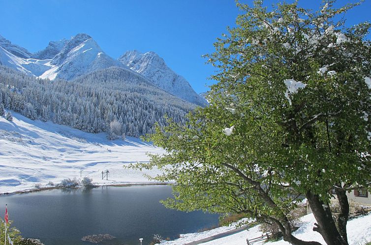 Appartement Chasa Soldanella, (Tarasp)