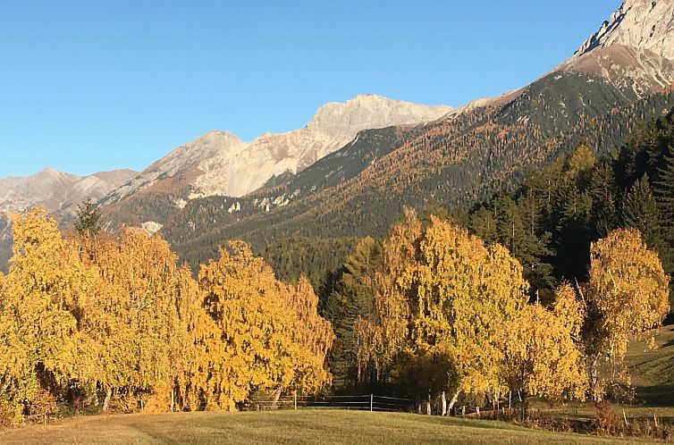 Appartement Ferienhaus La Chasina, (Tarasp)