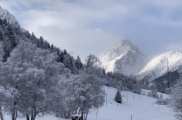 Appartement Ferienhaus La Chasina, (Tarasp)