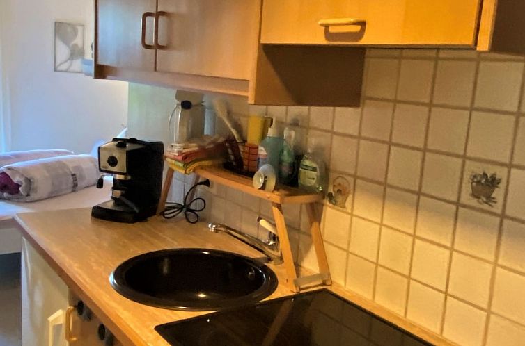 Appartement Ferienwohnungen Senda 495D