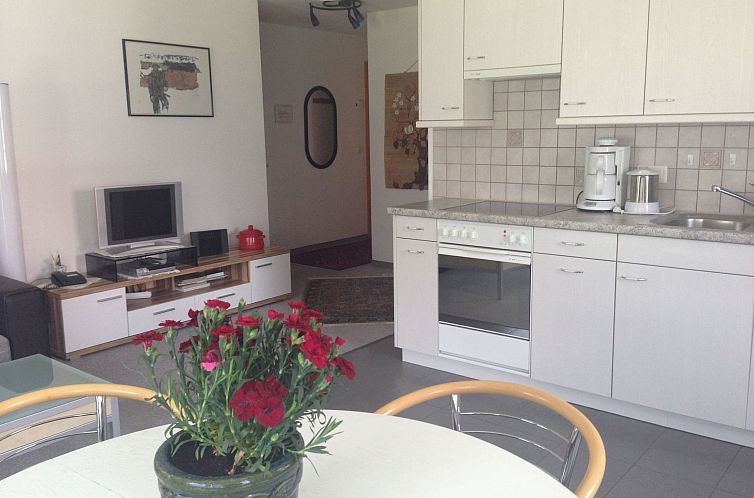 Appartement Chasa Ravagl, (Scuol).