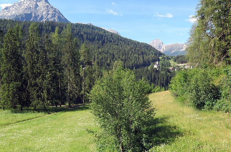 Appartement Brentsch Park, (Scuol).