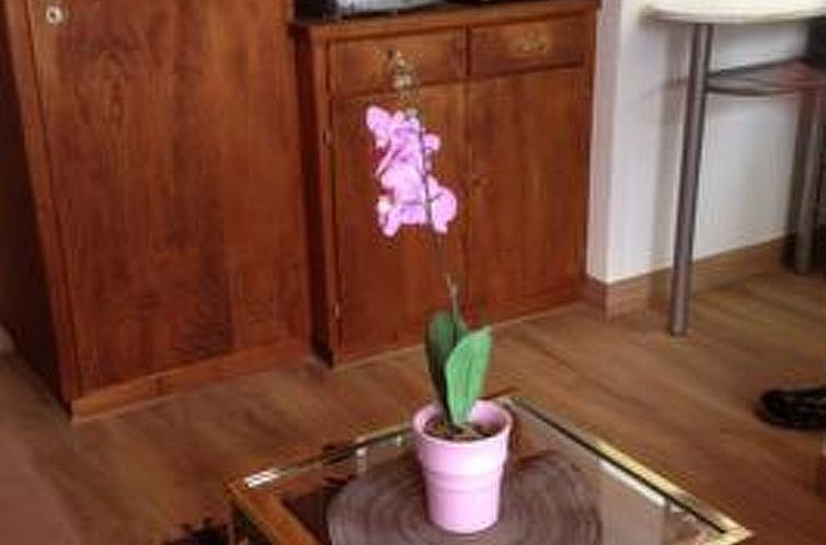 Appartement Ferienwohnungen Chasa Valär, (Scuol).
