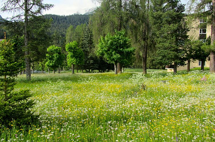Appartement Brentsch Park, (Scuol)