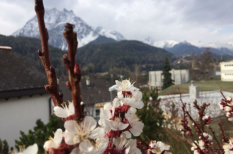 Appartement Chasa Bazzi, (Scuol).