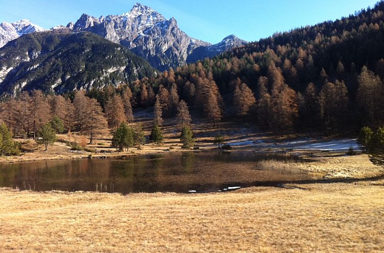 Appartement Chasa Bazzi, (Scuol).
