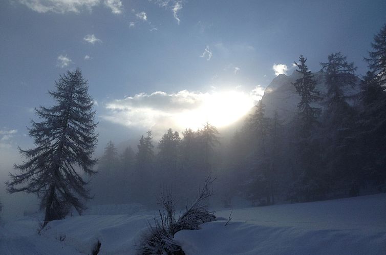 Appartement Chasa Bazzi, (Scuol).