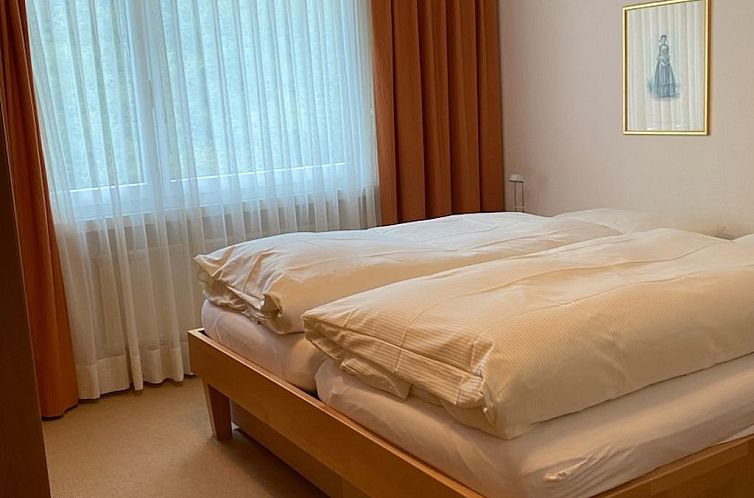 Appartement Brentsch Park, (Scuol).