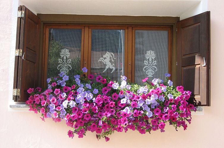 Appartement Chasa Calcagnini, (Scuol).