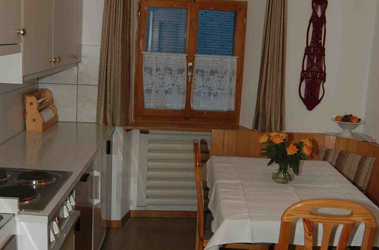 Appartement Chasa Calcagnini, (Scuol).
