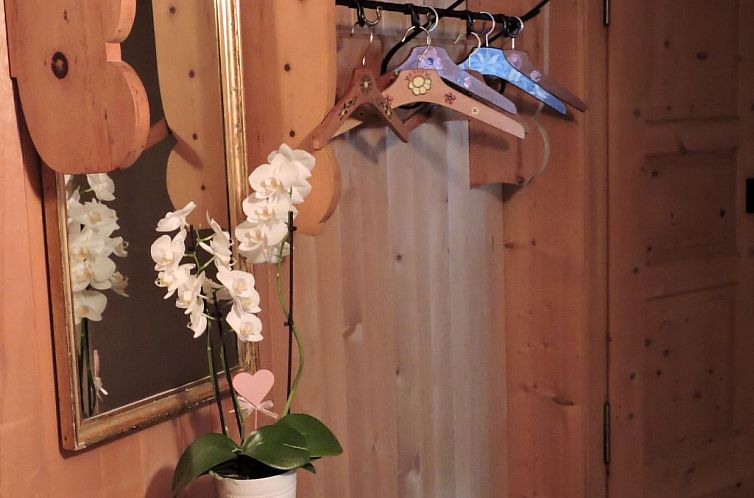 Appartement Chasa Calcagnini, (Scuol).