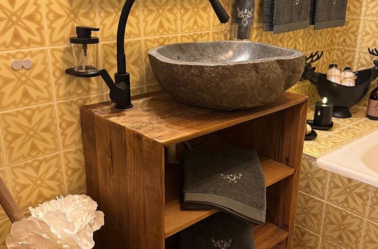 Vakantiehuis Berg-Bijou Scuol, (Scuol).