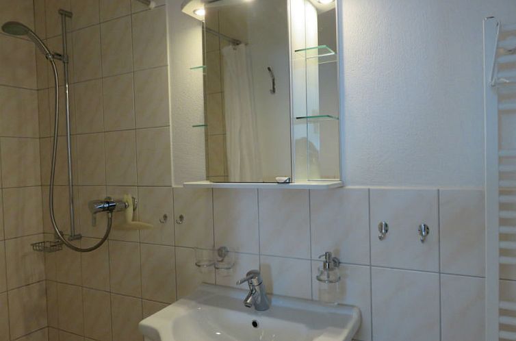 Appartement BioHof Casutt, Tenna, (Tenna).