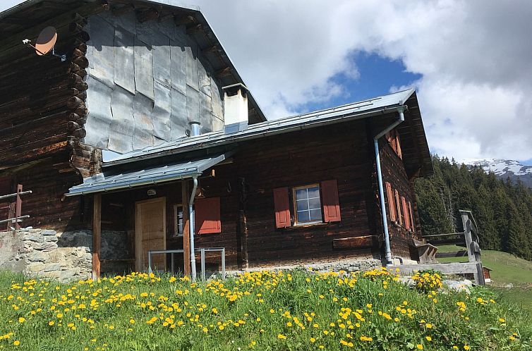 Appartement Berghütte Chalet Canischauna, Waltensburg, (Wal