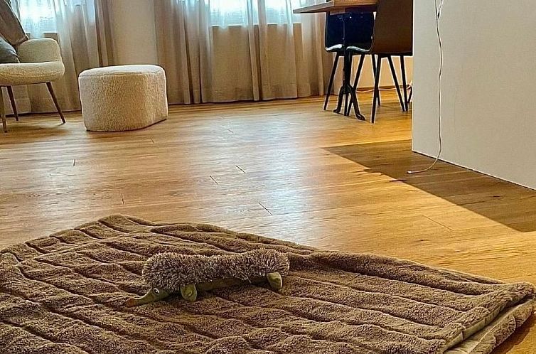 Appartement casa M