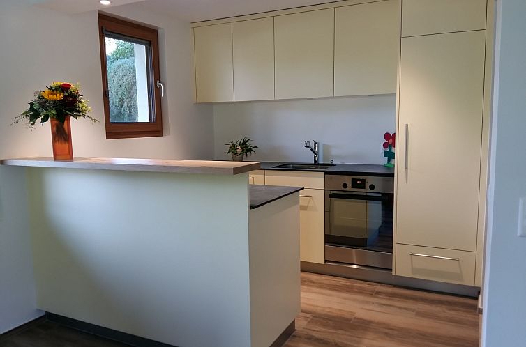 Appartement Schweizer, Obersaxen-Affeier, (Obersaxen).
