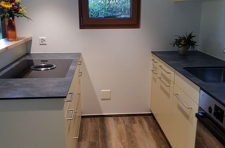 Appartement Schweizer, Obersaxen-Affeier, (Obersaxen).