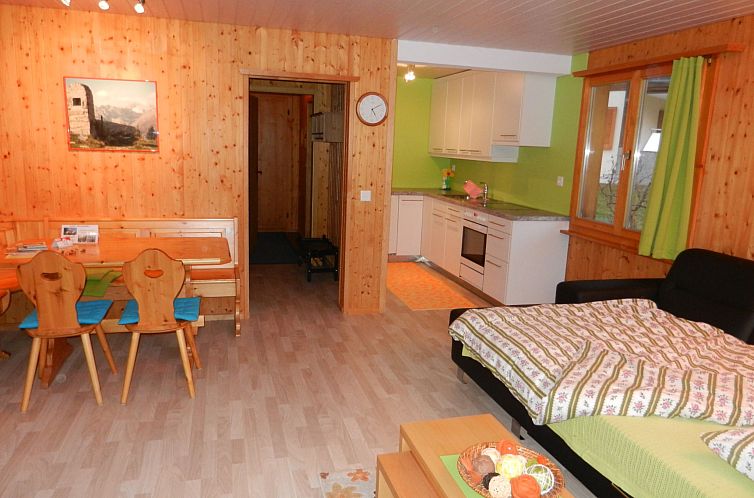 Appartement Schweizer, Obersaxen-Affeier, (Obersaxen), 34006