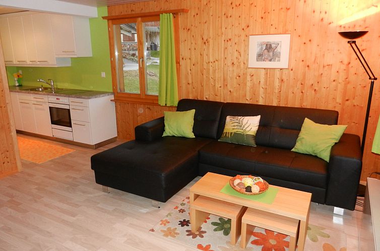 Appartement Schweizer, Obersaxen-Affeier, (Obersaxen), 34006