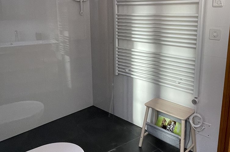 Appartement Plaz 117, (Ftan).