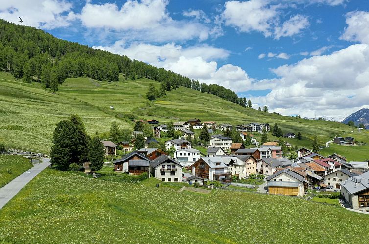 Appartement Chasa Flora, (Ftan).