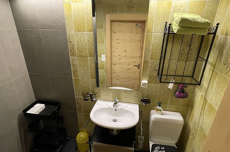 Appartement Mugliner 117A, (Ftan)